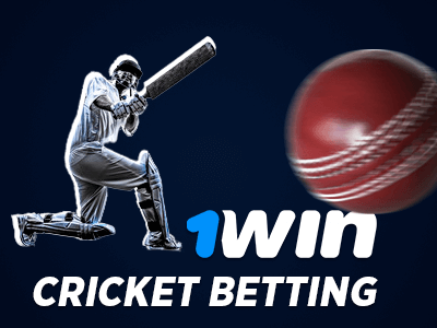 Cricket betting tournaments available at 1Win bookie